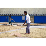 Sumatra Mandheling