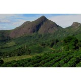 55387 Brazil Natural Fazenda Dutra