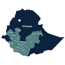 59886 Ethiopia Natural Sidamo