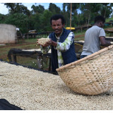 59890 Ethiopia Yirgacheffe